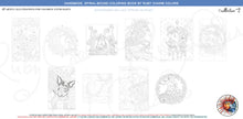 Load image into Gallery viewer, Ruby Charm Colors 28 Artful Illustrations for Coloring Enthusiasts - Collection 2, handmade, spiral bound, heavy paper adult coloring book