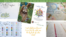 Load image into Gallery viewer, Big Book of Color Charts - Digital version!