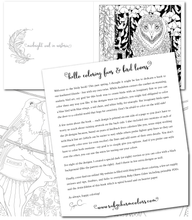 Load image into Gallery viewer, Birdy: A Fanciful Bird Coloring Book - Artist Edition - in stock now