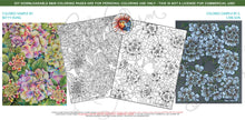 Load image into Gallery viewer, Flora Bundle One: 4 designs, downloadable printable 8-page PDF for coloring