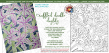 Load image into Gallery viewer, Ruffled Double Daylily: downloadable printable 2-page PDF for coloring