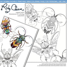 Load image into Gallery viewer, 3 Insects: downloadable printable 2-page PDF for coloring