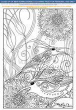 Load image into Gallery viewer, Sun Birds: downloadable printable 2-page PDF for coloring