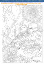 Load image into Gallery viewer, Sun Birds: downloadable printable 2-page PDF for coloring