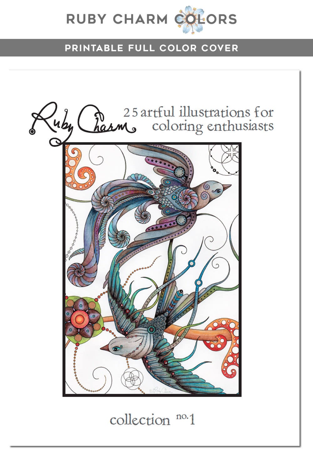 Ruby Charm Colors Big Book Of Color Charts The Original Ruby Charm Colors Coloring Book - Digital version: Instan