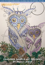 Load image into Gallery viewer, Mama and Baby Owl: downloadable printable 2-page PDF for coloring