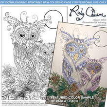 Load image into Gallery viewer, Mama and Baby Owl: downloadable printable 2-page PDF for coloring