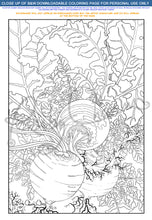 Load image into Gallery viewer, Garden Goods Bundle: downloadable printable 12-page PDF for coloring