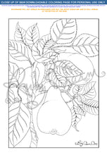 Load image into Gallery viewer, Garden Goods Bundle: downloadable printable 12-page PDF for coloring