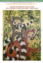 Load image into Gallery viewer, Lemurs: downloadable printable 2-page PDF for coloring