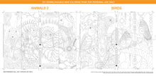 Load image into Gallery viewer, Bookmarks Bundle: downloadable printable 6-page PDF for DIY bookmarks (24 designs) to color