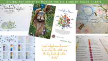 Load image into Gallery viewer, Big Book of Color Charts - Digital version!
