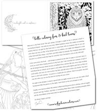 Load image into Gallery viewer, Birdy: A Fanciful Bird Coloring Book - Artist Edition - in stock now
