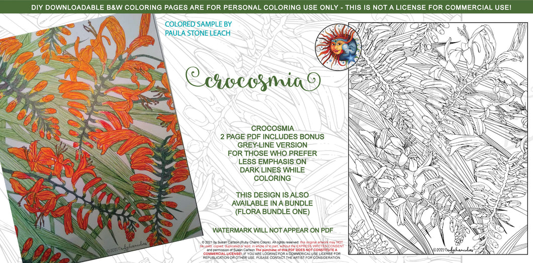 Crocosmia: downloadable printable 2-page PDF for coloring
