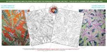 Load image into Gallery viewer, Flora Bundle One: 4 designs, downloadable printable 8-page PDF for coloring
