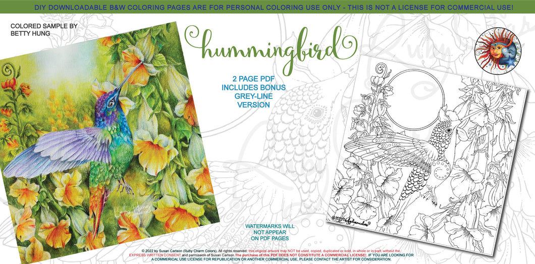 Hummingbird: downloadable printable 2-page PDF for coloring