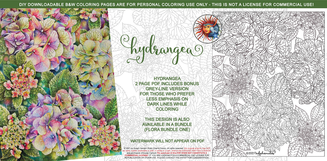 Hydrangeas: downloadable printable 2-page PDF for coloring