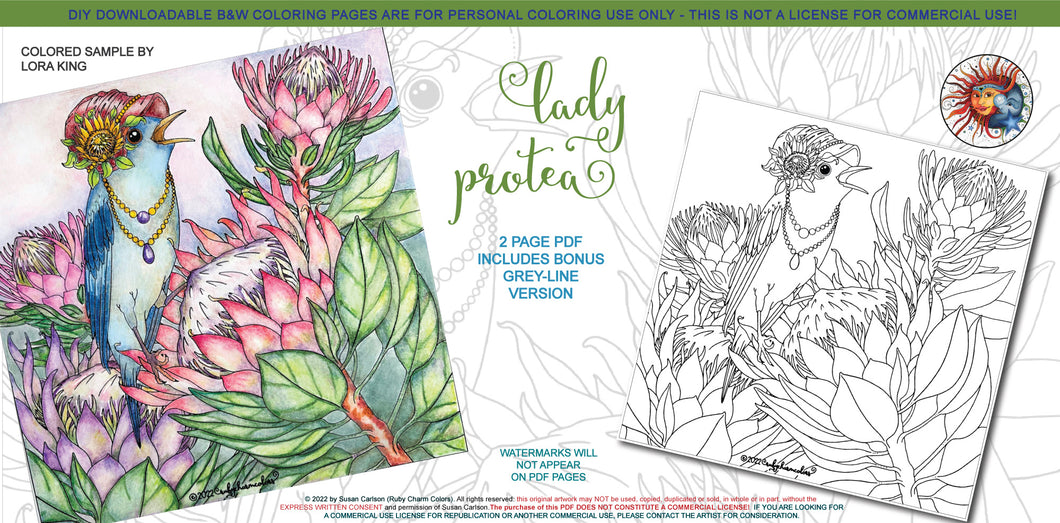 Lady Protea: downloadable printable 2-page PDF for coloring