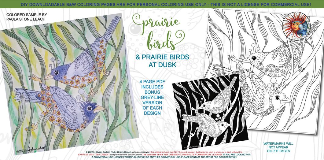 Prairie Birds: downloadable printable 4-page PDF for coloring