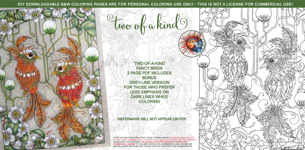 Two-of-a-Kind Fancy Birds: downloadable printable 2-page PDF for coloring