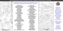 Load image into Gallery viewer, Artist Edition Ruby Charm Colors Box Set, 80 unique illustrations for coloring on white card stock
