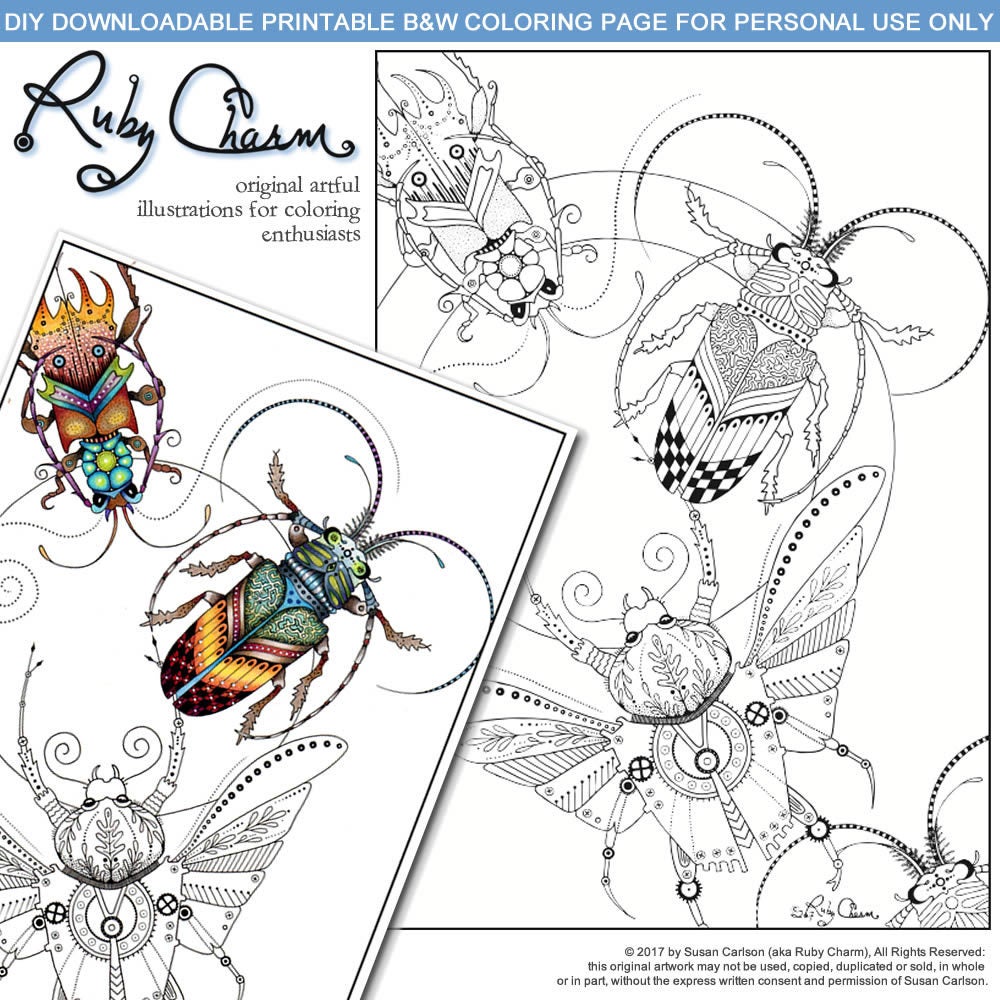3 Insects: downloadable printable 2-page PDF for coloring