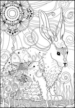 Load image into Gallery viewer, Butterfly Rabbit: downloadable printable 2-page PDF for coloring
