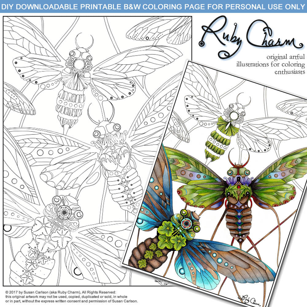 Cicadas: downloadable printable 2-page PDF for coloring