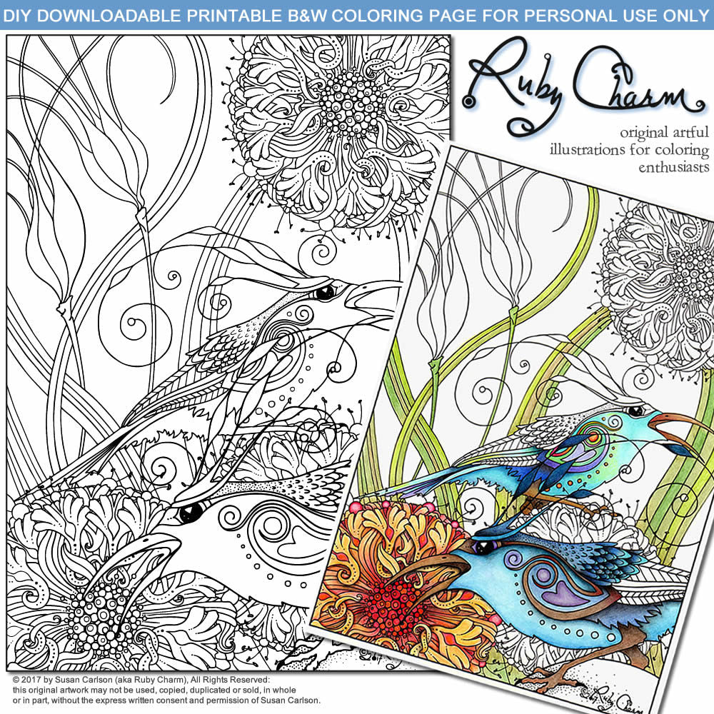 Sun Birds: downloadable printable 2-page PDF for coloring