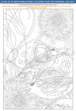 Load image into Gallery viewer, Sun Birds: downloadable printable 2-page PDF for coloring
