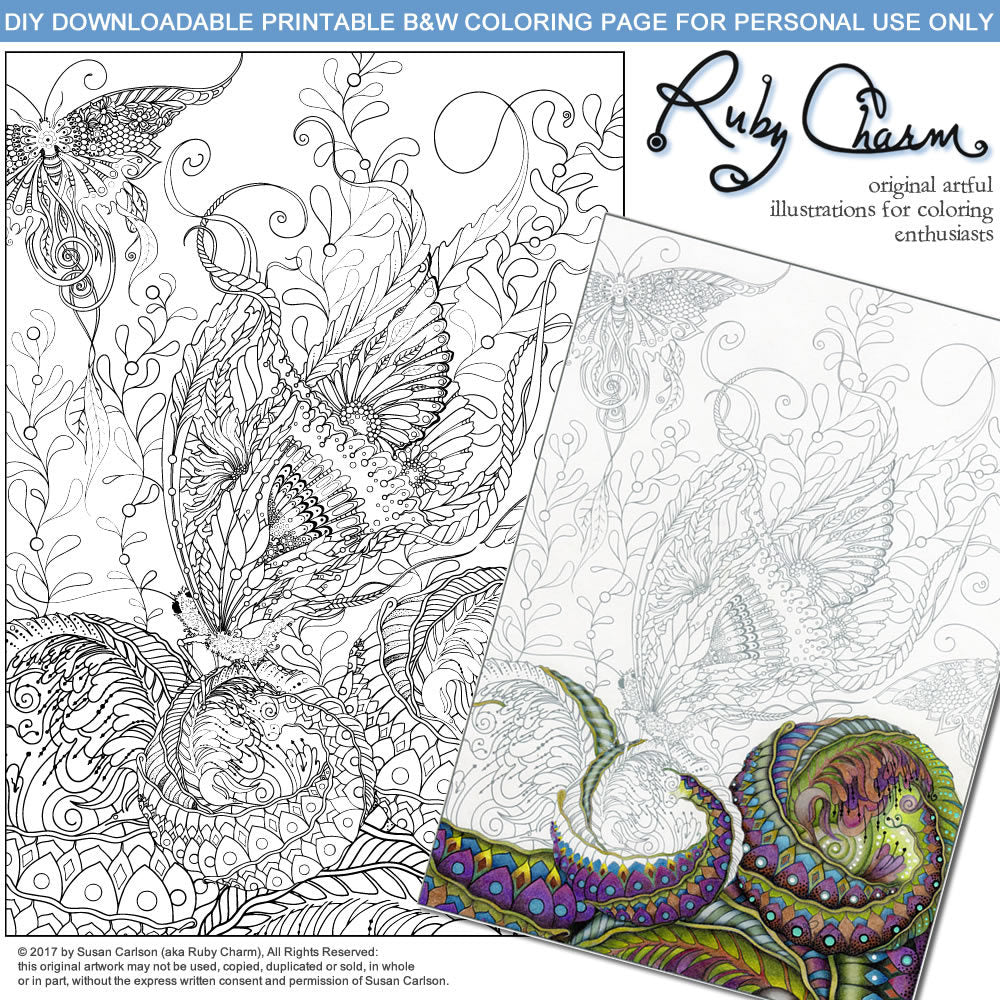 Butterfly with Spheres: downloadable printable 2-page PDF for coloring