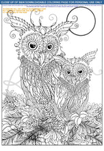 Load image into Gallery viewer, Mama and Baby Owl: downloadable printable 2-page PDF for coloring
