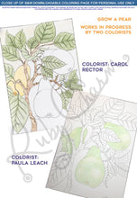 Load image into Gallery viewer, Garden Goods Bundle: downloadable printable 12-page PDF for coloring
