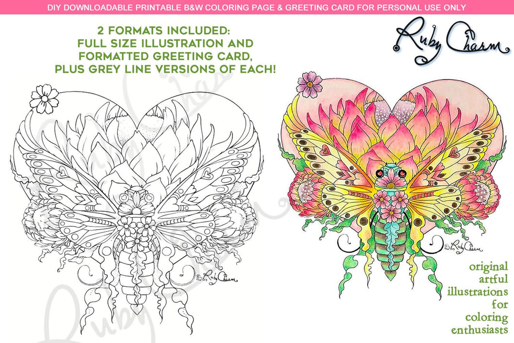Valentine Cicada Heart: downloadable printable 2-page PDF for coloring
