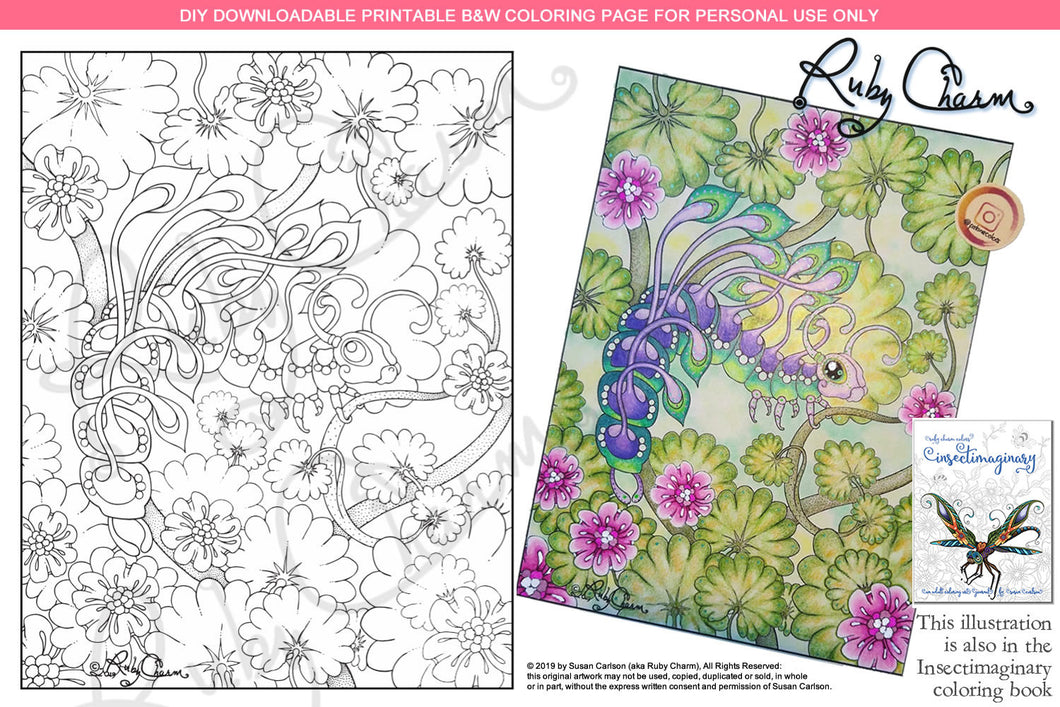 Insectimaginary Pluma Spectabilis Caterpillar: downloadable printable 2-page PDF for coloring