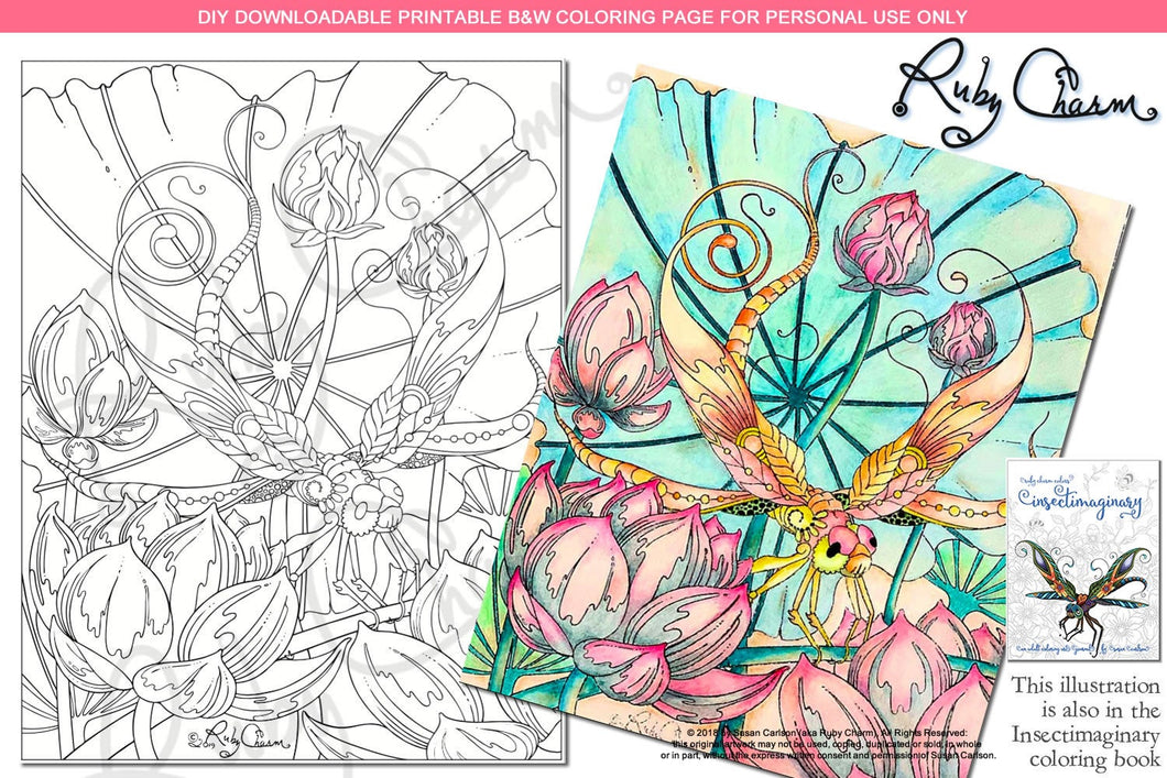Insectimaginary Lotus Streamer Dragonfly: downloadable printable 2-page PDF for coloring