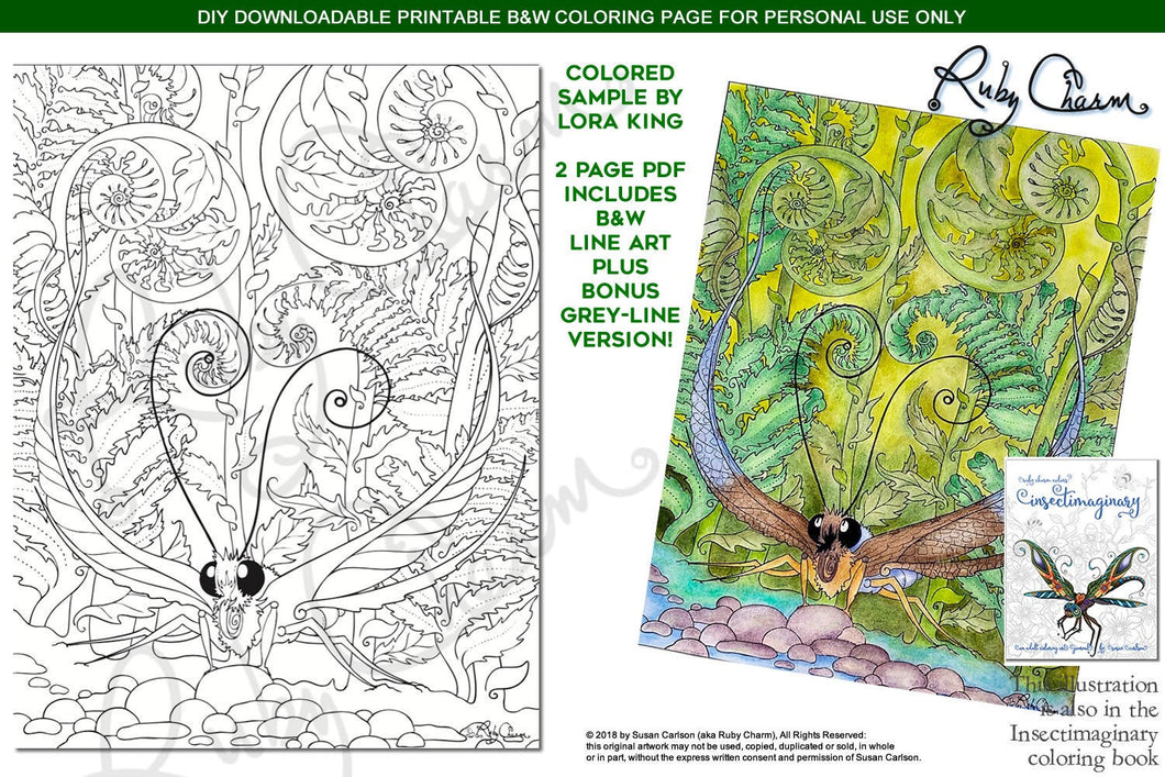 Insectimaginary Rock Skimmer: downloadable printable 2-page PDF for coloring