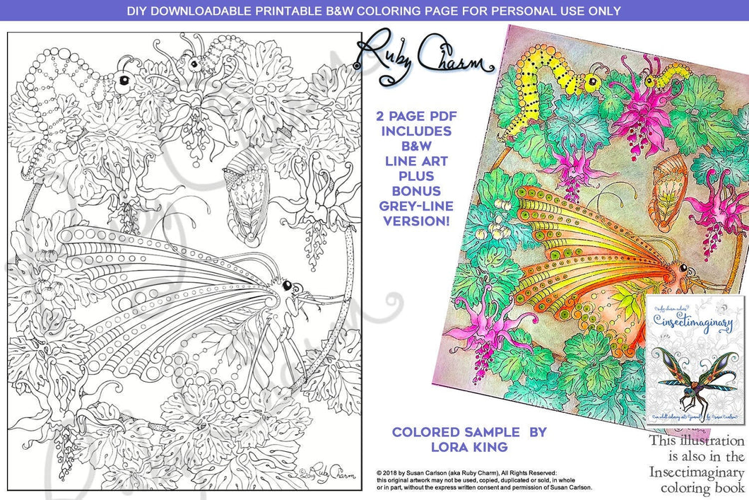 Insectimaginary Metamorphosis: downloadable printable 2-page PDF for coloring