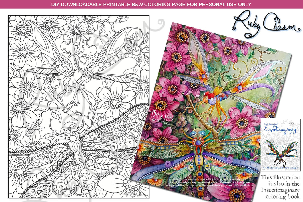 Insectimaginary A Few More Dragonfly Streamers: downloadable printable 2-page PDF for coloring