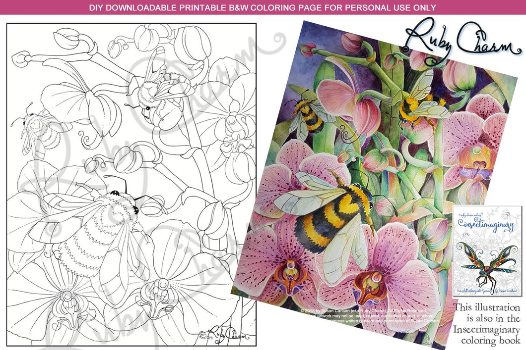 Insectimaginary Orchid Bumbles: downloadable printable 2-page PDF for coloring