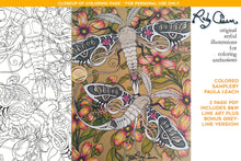Load image into Gallery viewer, Insectimaginary Noctuid Treasureattica Moths: downloadable printable 2-page PDF for coloring
