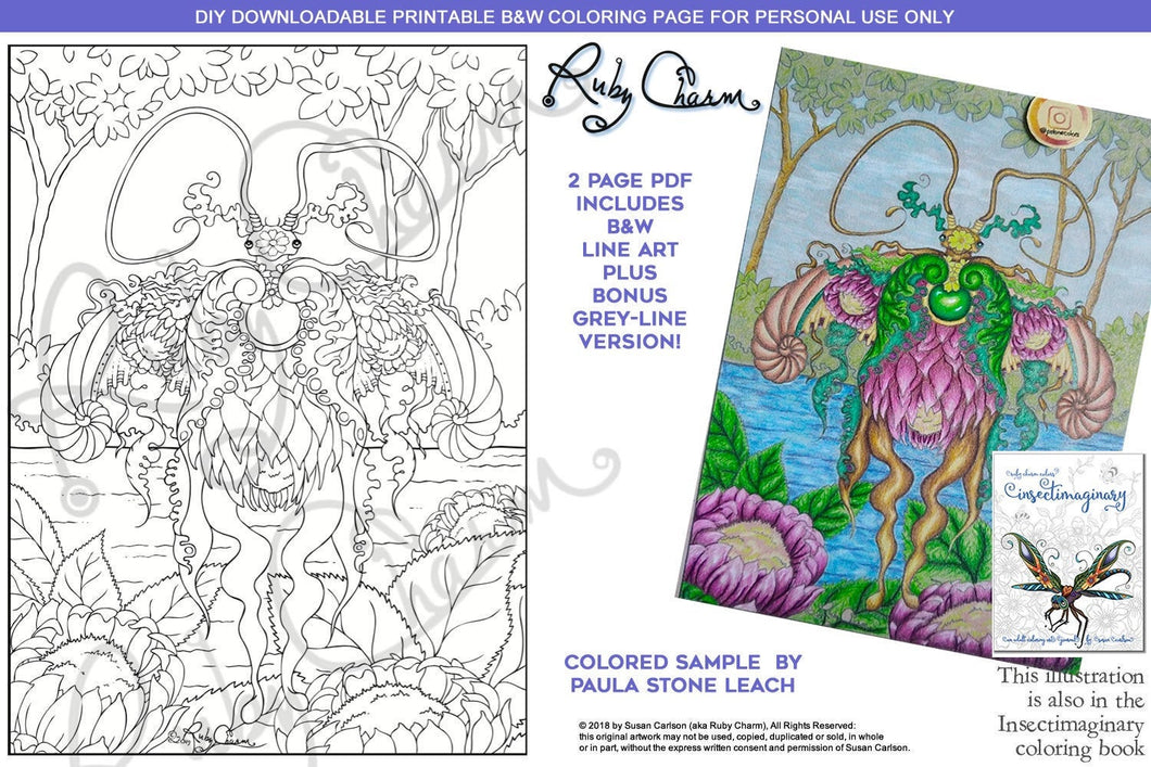 Insectimaginary Actias Protea Luna Moth: downloadable printable 2-page PDF for coloring