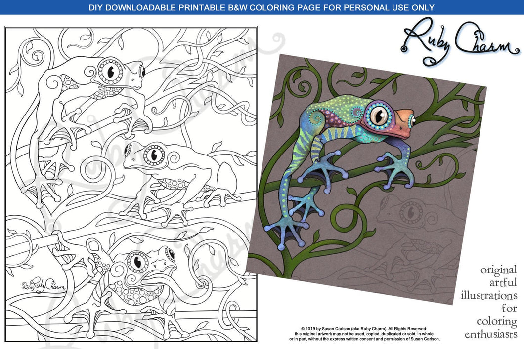 Three Frogs: downloadable printable 2-page PDF for coloring