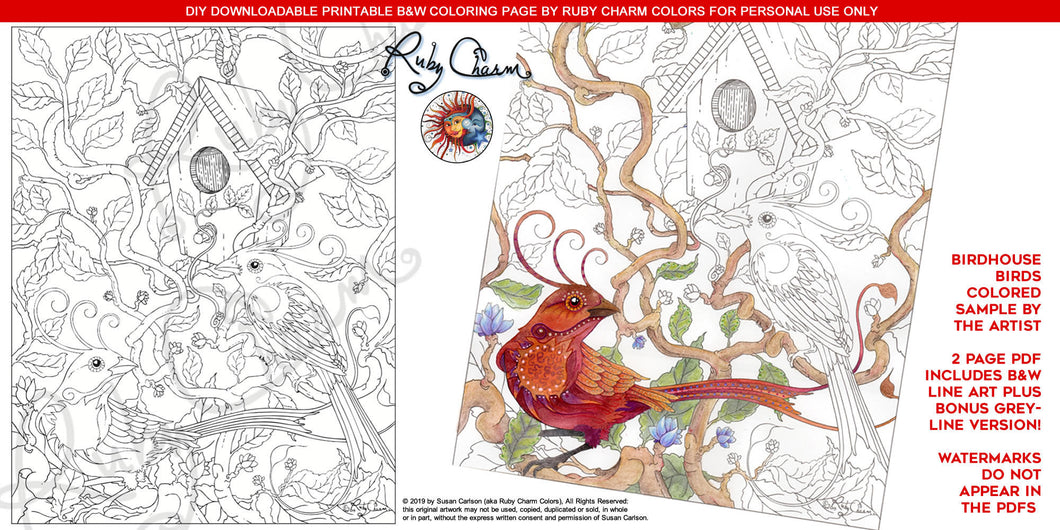 Birdhouse Birds: downloadable printable 2-page PDF for coloring