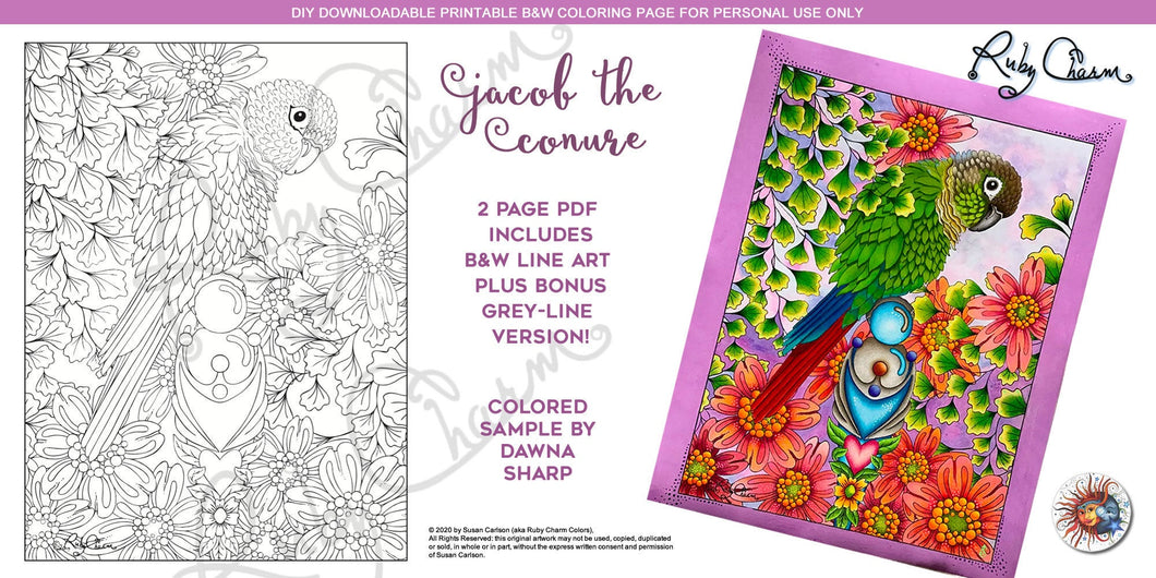 Jacob the Conure: downloadable printable 2-page PDF for coloring