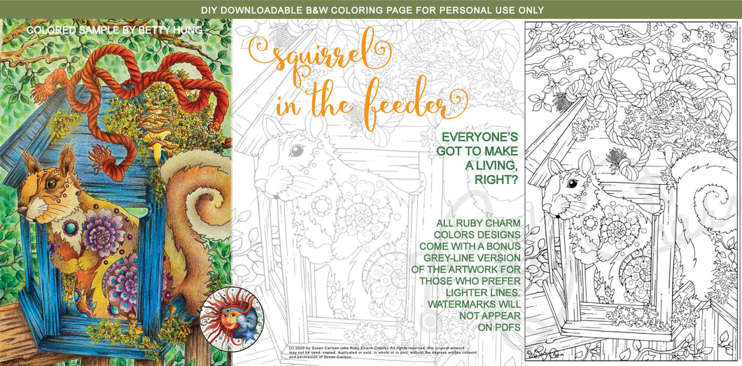 Squirrel in Feeder: downloadable printable 2-page PDF for coloring
